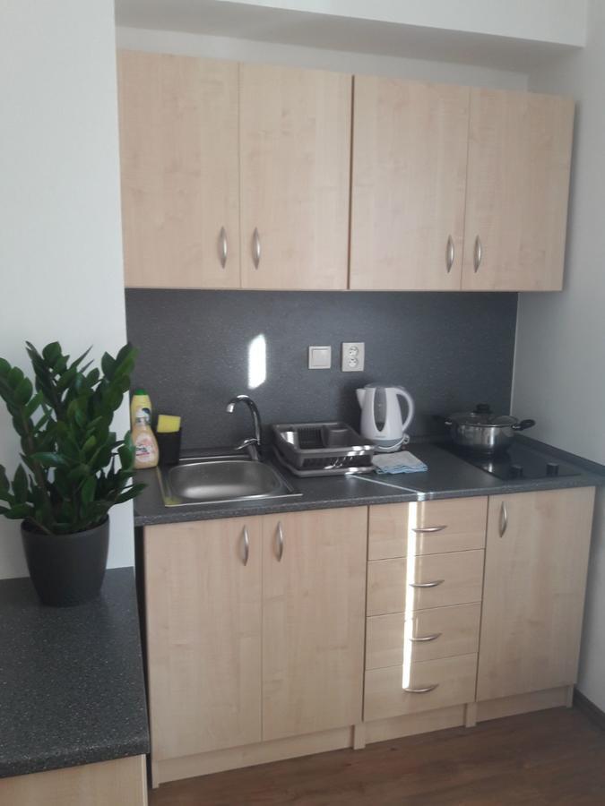 Apartmany Lipa Tábor Exteriör bild