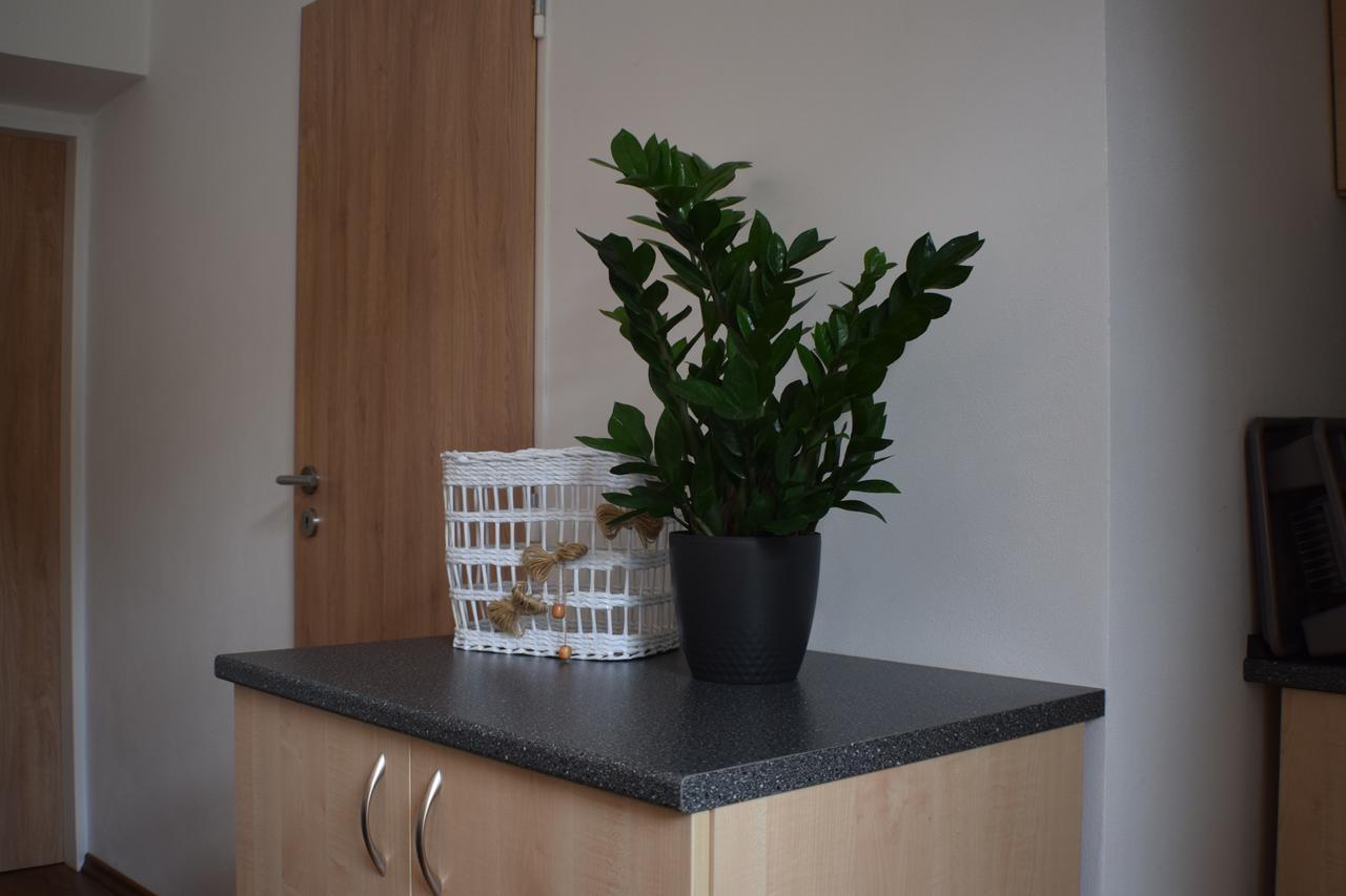 Apartmany Lipa Tábor Exteriör bild